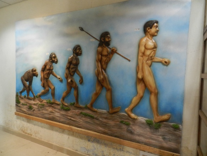 Zoological Museum of Natural History