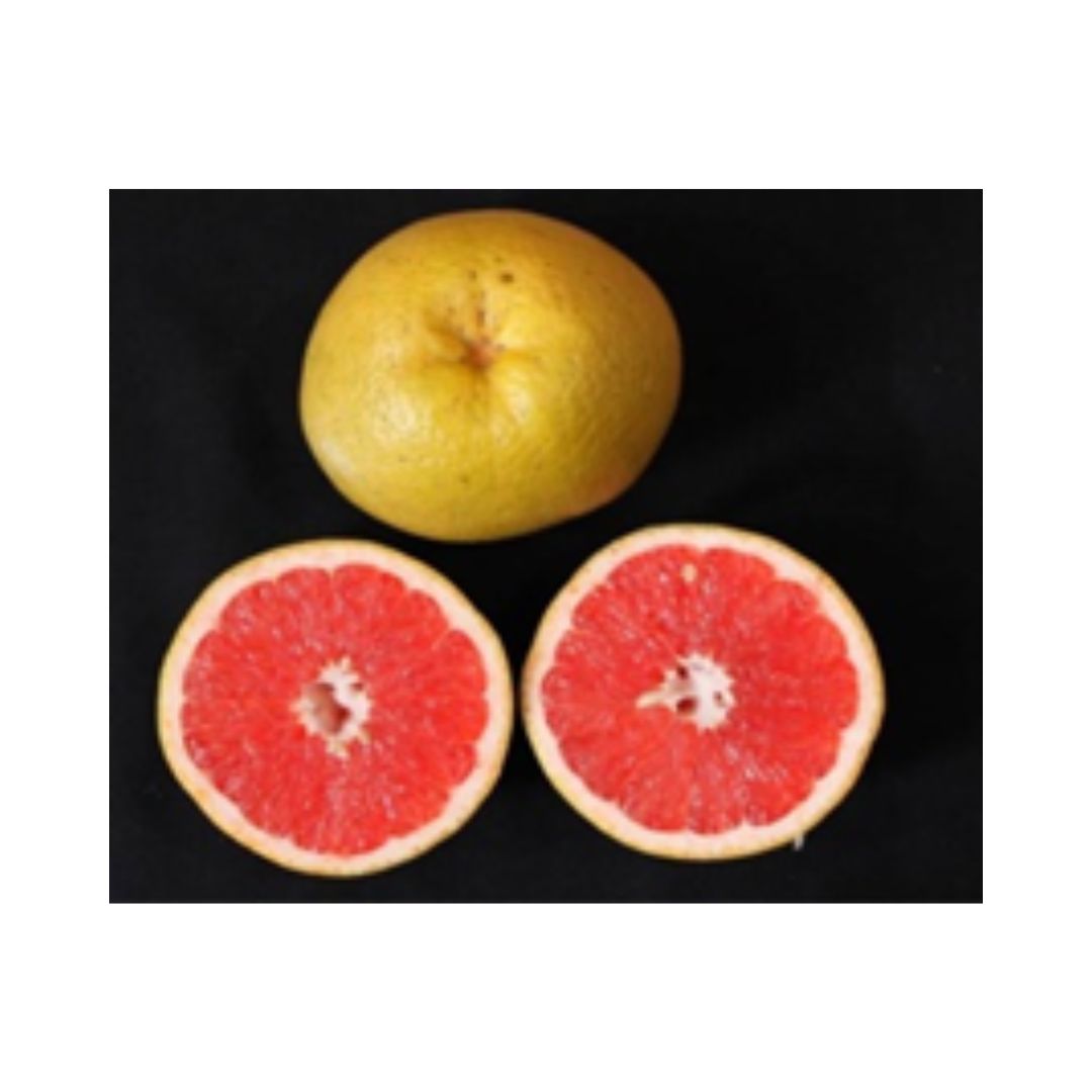 Flame Grapefruit