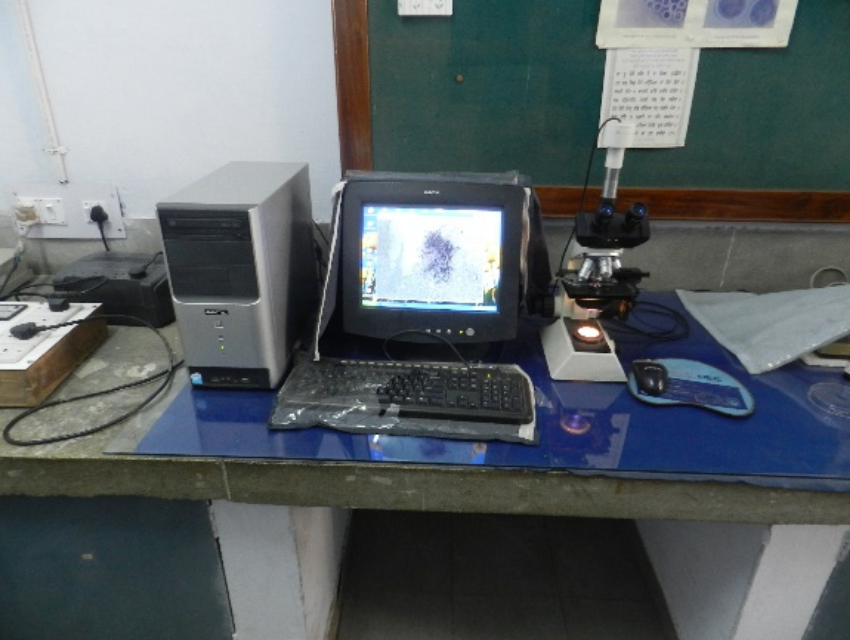 Microscopic Image projection system