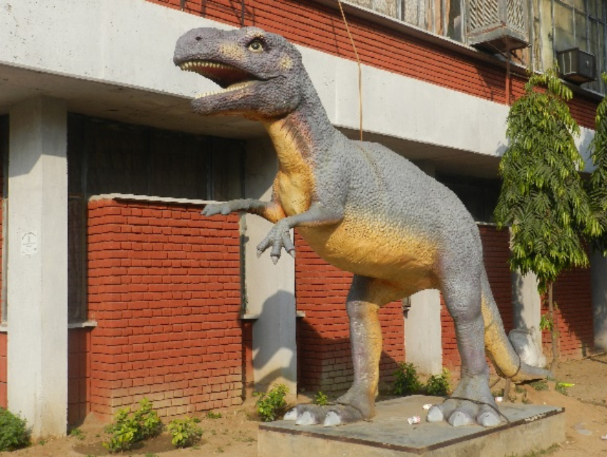 Zoological Museum of Natural History