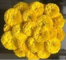 a3
