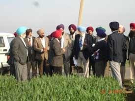 Students Practicing Area cum Research Farm