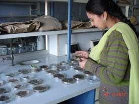Crop Physiology Lab